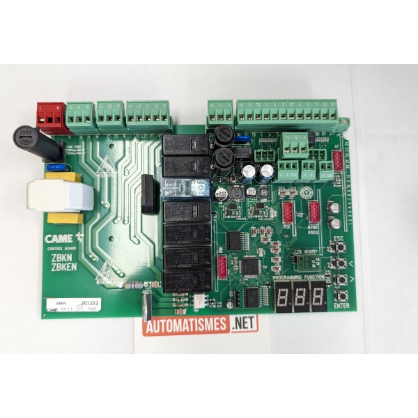Electronique CAME 3199 ZBK pour coulissant 230V