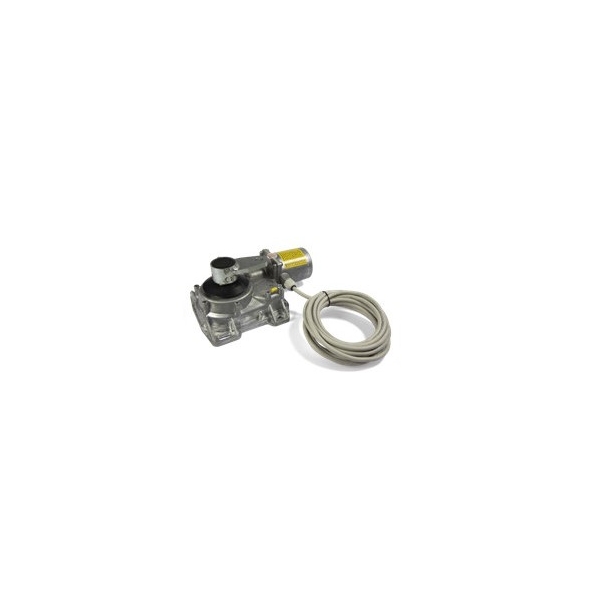 Moteur CARDIN HLXCORE24 - Automatisme portail battant