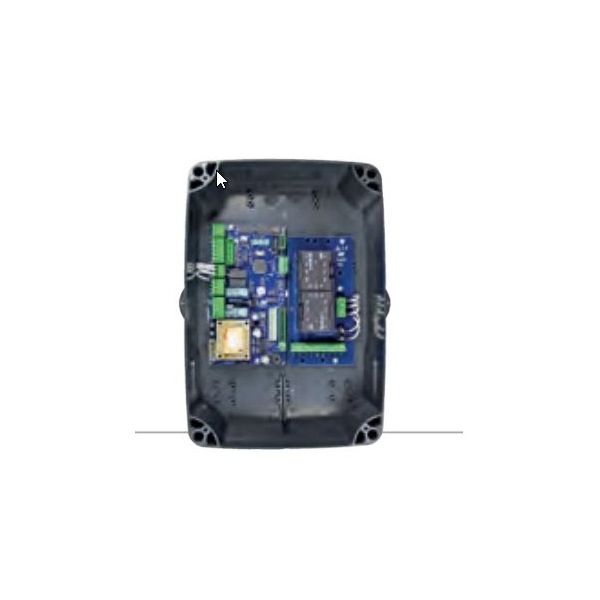 Carte électronique RIB L1/R2-CRX