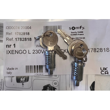 Kit cylindre clés déverrouillage SOMFY Ixengo L