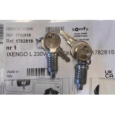 Kit cylindre clés déverrouillage SOMFY Ixengo L