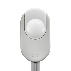 Moteur Somfy Dexxo Smart 1000 io - Automatisme garage