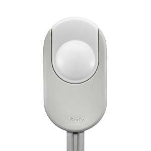 Moteur Somfy Dexxo Smart 1000 io - Automatisme garage