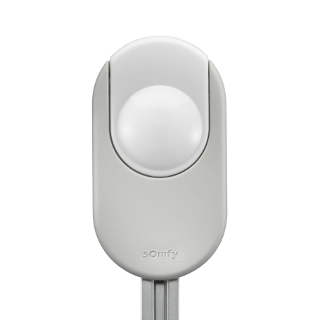 Moteur Somfy Dexxo Smart 1000 io - Automatisme garage