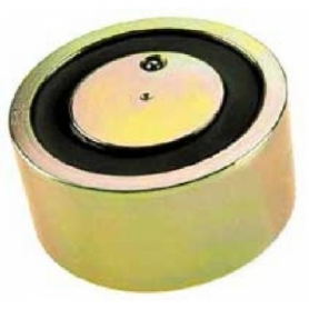 PRO EM Extérieur Ronde (D.80mm) 250 kg - 48v