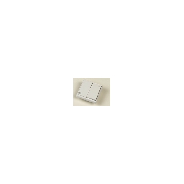 Inverseur momentané ACP20