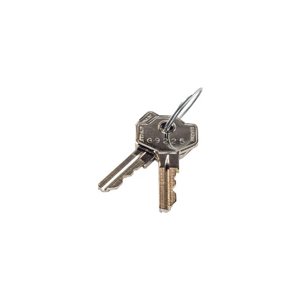 Clés de déverrouillage pour motorisation de portail LIFTMASTER